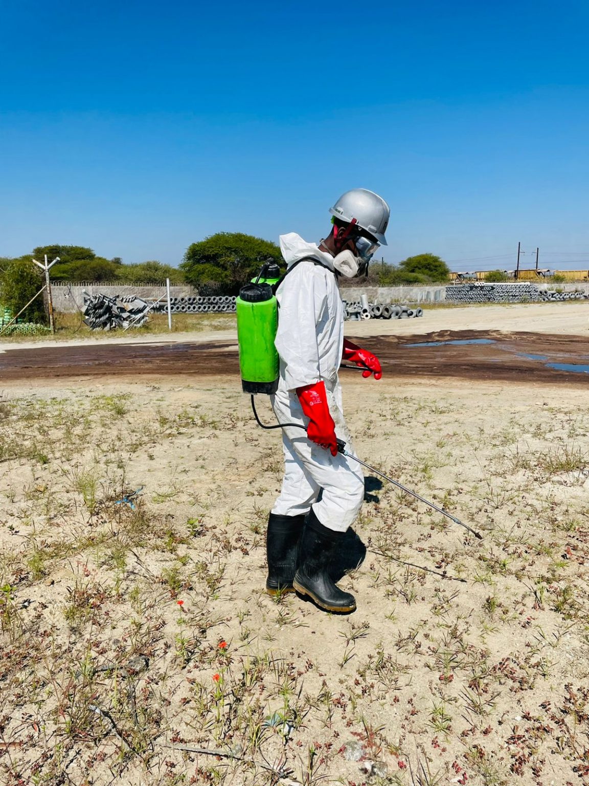 WhatsApp Image 2022-05-11 at 2.26.33 PM